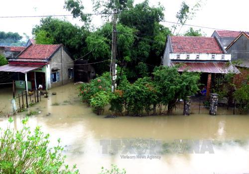 Mực nước các sông tại Phú Yên lên trở lại 